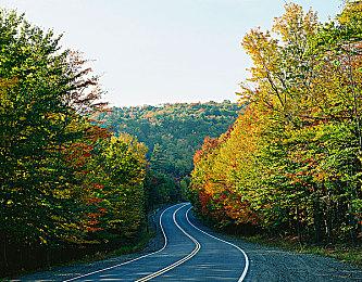 全视频古装探案互动影游《神都不良探》 今日首测
